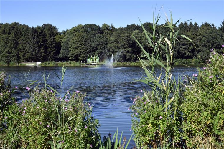 So schön kann es im Speckenbütteler Park in Bremerhaven sein.