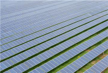 So sieht es heute an vielen Autobahnen und Bahnlinien aus: Solarparks, so weit das Auge reicht. Jetzt könnte auch die erste Fotovoltaik-Freiflächenanlage in der Börde Sittensen entstehen. In Tiste möchte ein Investor Flächenmodule entlang der Bahnlinie Richtung Herwigshof aufstellen. 