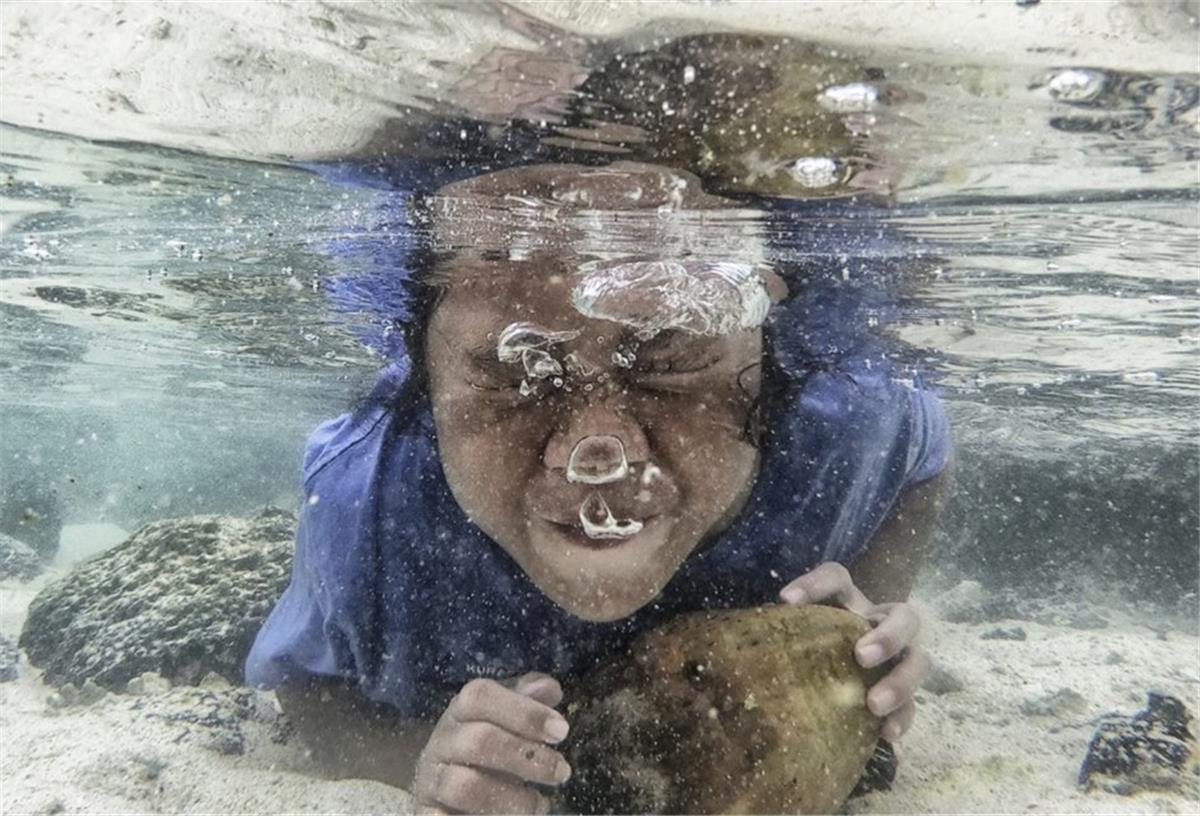 Wie Nord- und Südsee gegen dem Klimawandel kämpfen So spielt man in Samoa Wasserball: Ein Mädchen taucht auf der Insel Upolu mit einer Kokosnuss unter.