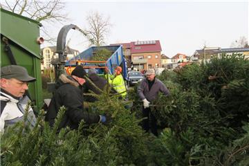 So viele Weihnachtsbäume wie nie zuvor wurden bei der Schredder-Aktion in Nordenham abgegeben. 