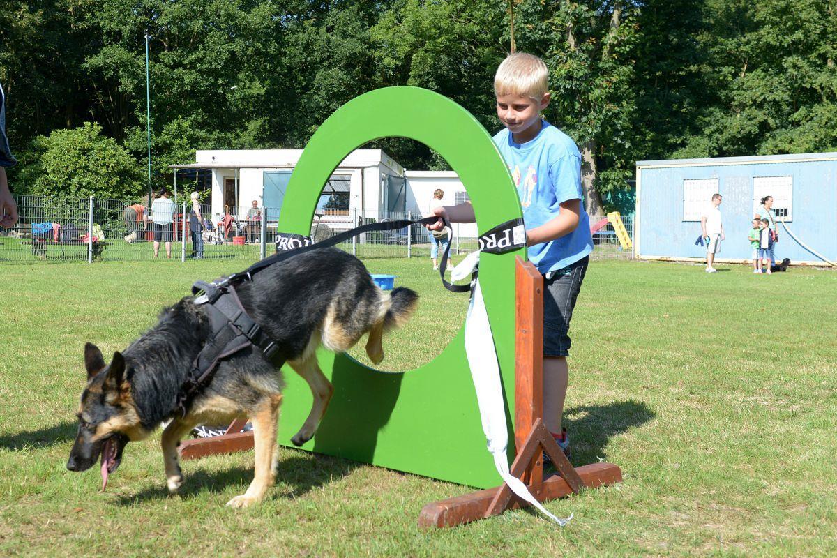 Ferienpass gegen sechs Wochen Langeweile So wie Marc hier mit Hündin Mara übt, können Kinder am 24. Juli bei Polizeihundeverein am Vieländer Weg mit den Spezialhunden trainieren.