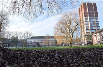 Sobald das Wetter mitspielt, will die Stadt die Wiese vor dem Rathaus fluten lassen, damit dort eine Eislauffläche entstehen kann.
