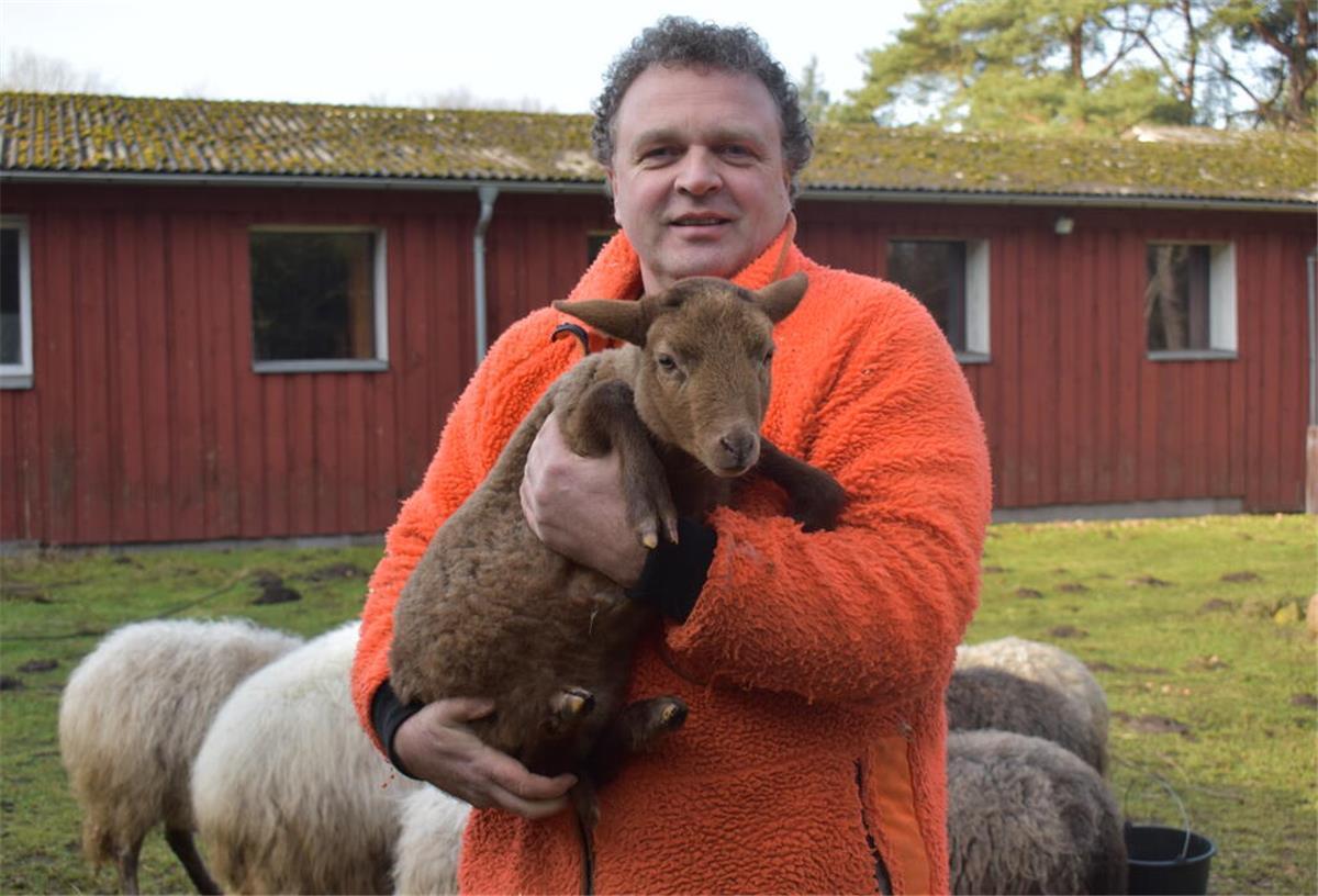 Dreptefarm in Not: Ferienlager abgesagt - Tiere müssen verkauft werden Sönke Hofmann hält auf dem Gelände der Dreptefarm ein Lamm im Arm