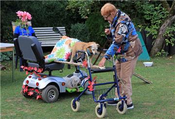 Sogar der Rollator kann für das Trickdogging eingesetzt werden, wie diese Seniorin beweist.