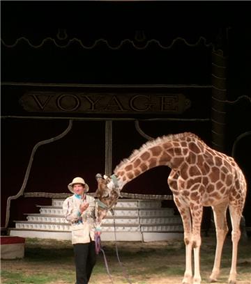 Sogar eine Giraffe wird im Circus Voyage zum Einsatz kommen.