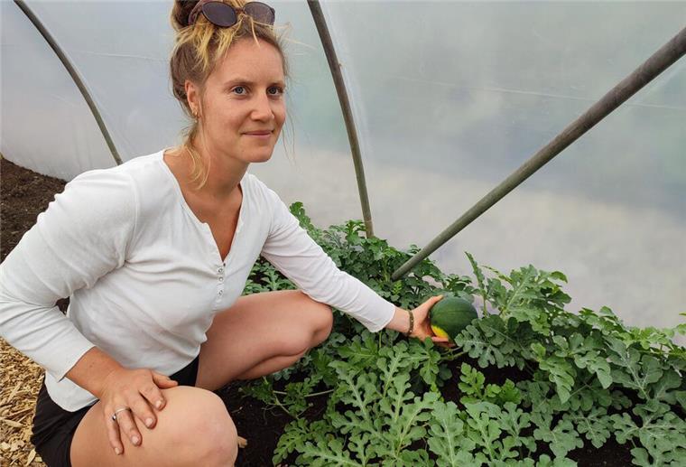 Wassermelonen Market Gardening