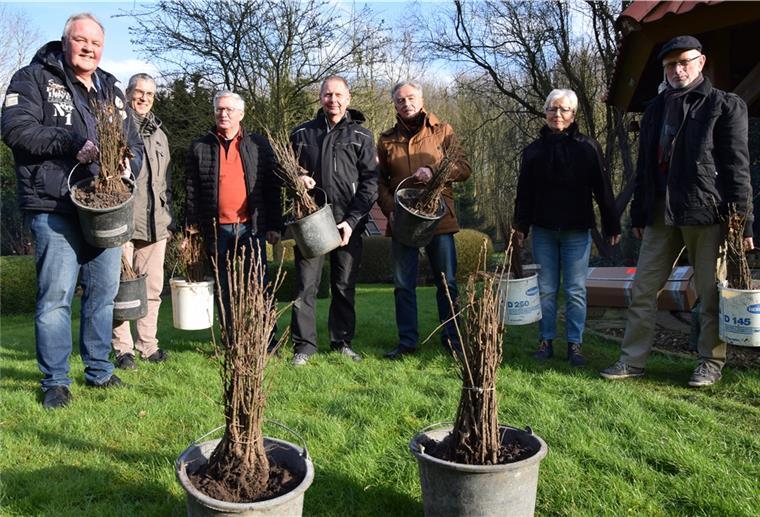Nordenham: Kaufleute spenden 550 junge Bäume für Stadtwald Sorgen gemeinsam dafür, dass Nordenham grüner wird (von links): Winfried Nagel, Lutz Brandes, Fred Müller, Lutz Hinrichs (alle von der Kaufmannsgilde), Wolfgang Odenbach, Gudrun Keup und Jürgen Keup (alle im Dauereinsatz für den Stadtwald).