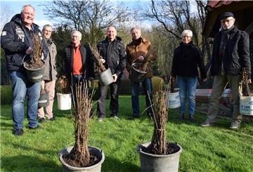 Sorgen gemeinsam dafür, dass Nordenham grüner wird (von links): Winfried Nagel, Lutz Brandes, Fred Müller, Lutz Hinrichs (alle von der Kaufmannsgilde), Wolfgang Odenbach, Gudrun Keup und Jürgen Keup (alle im Dauereinsatz für den Stadtwald).