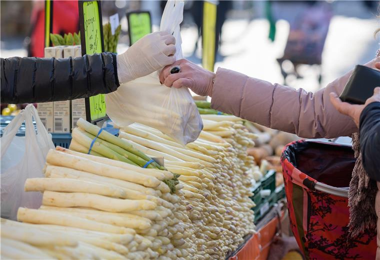 Zeven: Start in die Spargel-Saison Spargel gehört zu den beliebtesten Gemüsesorten. Er ist gesund, hat wenig Kalorien und ist genau das Richtige für die Ostermahlzeit.
