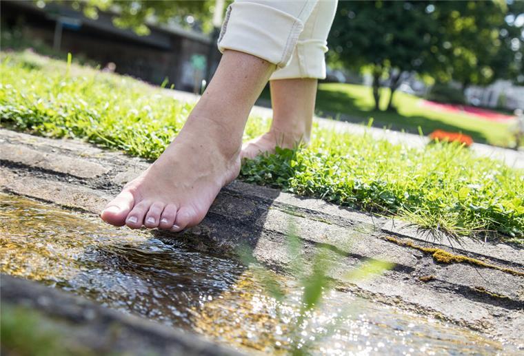 Mit diesen Tricks wird der Spaziergang noch gesünder Spazierengehen tut gut und hält fit. Ein Orthopäde empfiehlt, zwischendurch auch mal rückwärts oder barfuß zu laufen.