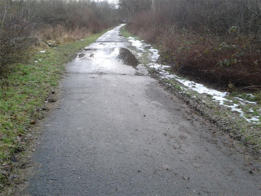 Spaziergang im Ahnthammsmoor. Foto Geller