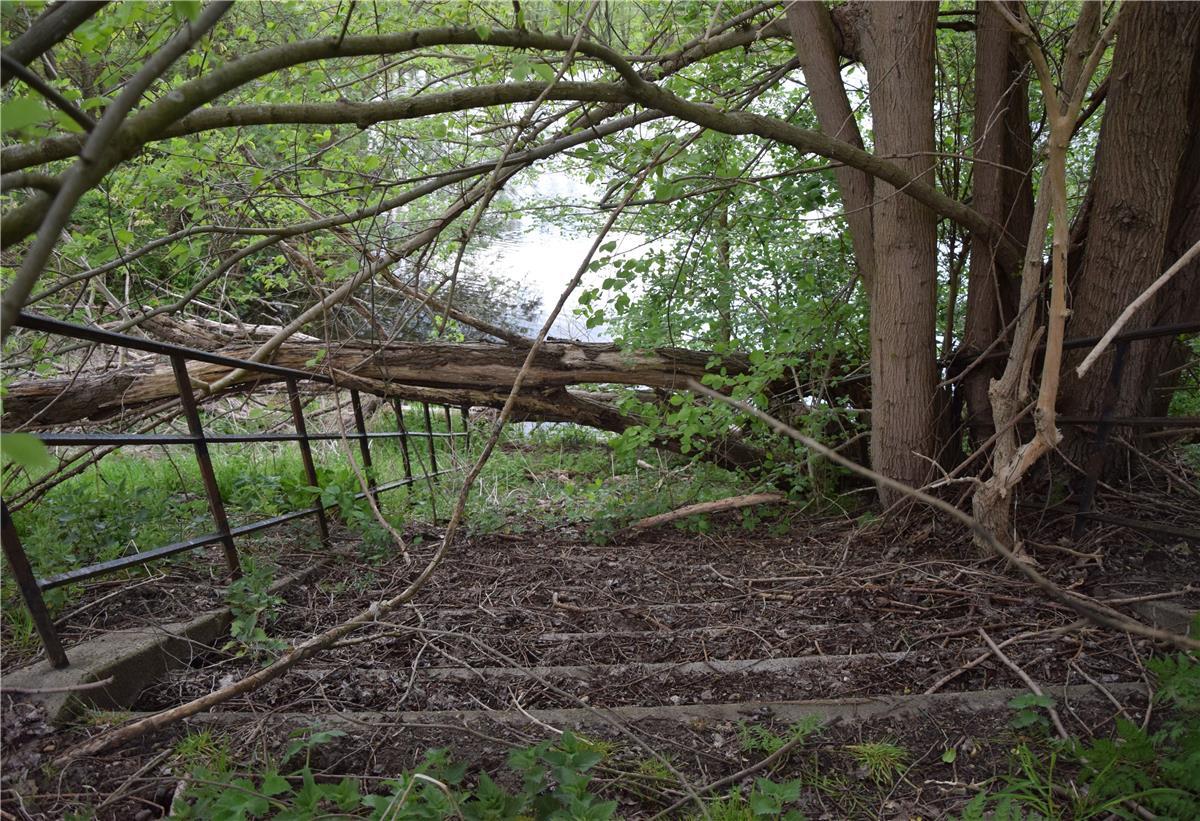 Spurensuche am alten Lunebad: Eine der beiden Treppen von der Liegewiese hinunter zum Nichtschwimmerbecken. Die Natur hat sich das Gelände zurückerobert.