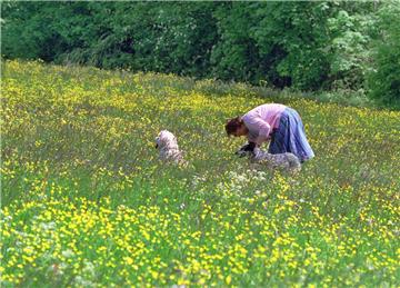 Statt sie für eine intensive Landwirtschaft zu verpachten, möchte Zeven seine noch nicht für die Kompensation benötigten Flächen buchstäblich aufblühen lassen.