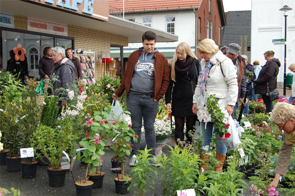 Staudenmarkt 2019 in Hagen: Die Entscheidung fällt bei der großen Pflanzenauswah...