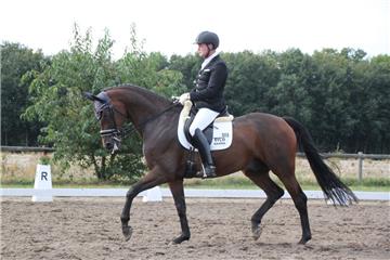 Stefan Blanken vom Reitverein Tarmstedt mit „Secrets Sunshine“ in der M*-Dressur...