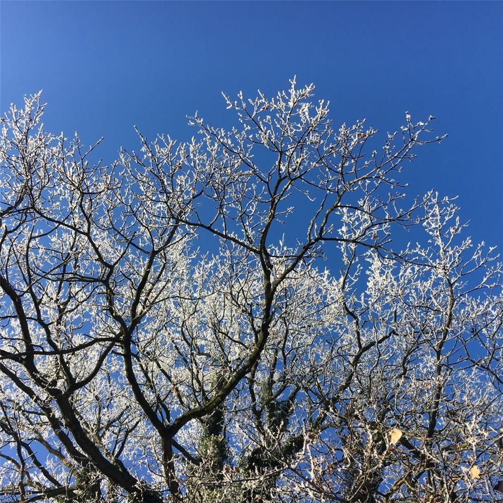 Strahlend blauer Himmel über Loxstedt. 