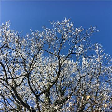 Strahlend blauer Himmel über Loxstedt. 