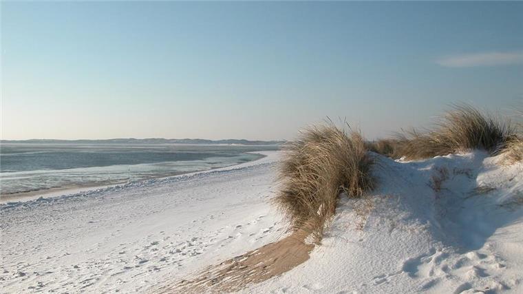 Ich will zurück nach Westerland: Das Beste, was Sylt zu bieten hat Strand