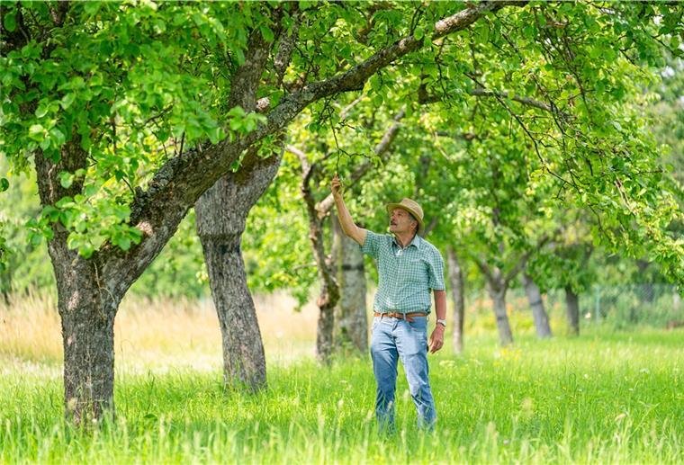 So haben Bauern den Naturschutz im Blick Das Foto zeigt eine Streuobstwiese.