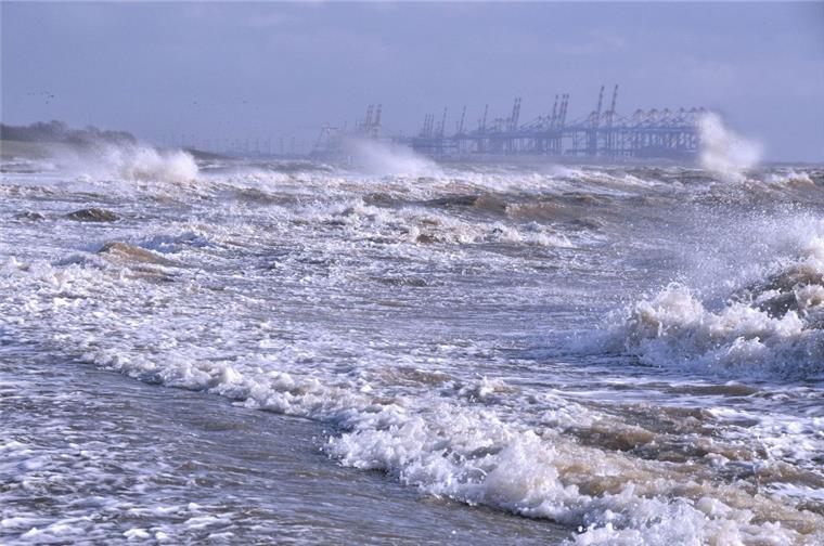 Klimaexperte: Stürme im Cuxland haben nichts mit Klimawandel zu tun Sturm "Herwart" hat Ende Oktober auch das Cuxland ordentlich durchgewirbelt. Mit dem Klimawandel haben die starken Herbststürme - so der Experte - aber nichts zu tun.
