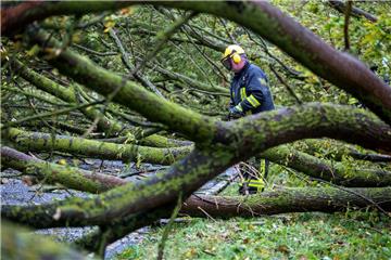 Sturm Xavier hat in Norddeutschland erhebliche Schäden verursacht, wie hier in Wismar. 
