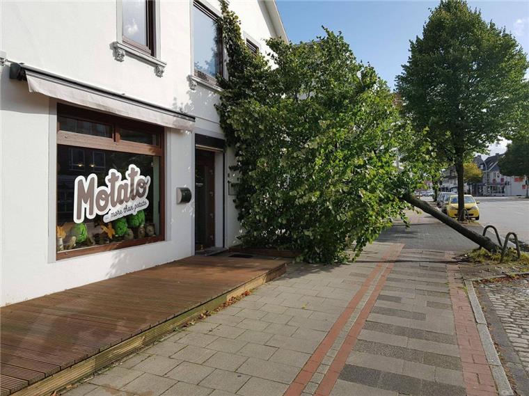 Abgeknickte Bäume und Dauereinsatz: Sturmtief "Sebastian" wütet in Bremerhaven und umzu Sturmtief "Sebastian" zwang einen Baum in der Langener Landstraße in Leherheide in die Knie.