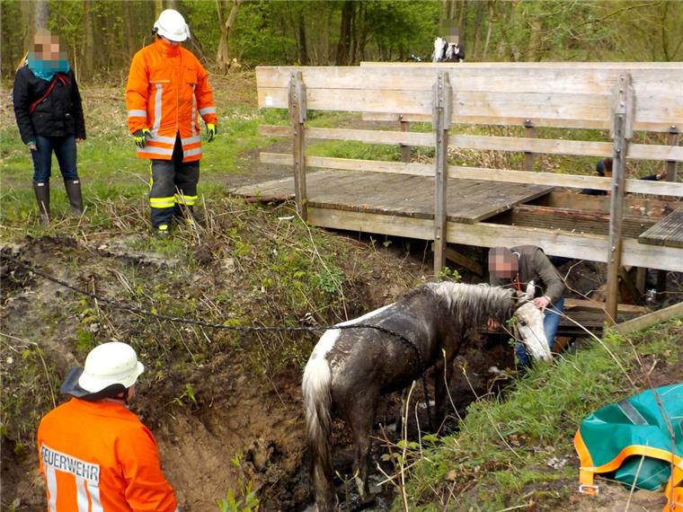 Zusammengefasst! Das war das Oster-Wochenende im nord24-Land Eine Reiterin ist am Ostermontag am "Imkerinnensteg", einer kleinen Holzbrücke am Apeler See, mit ihrem Pferd eingebrochen.