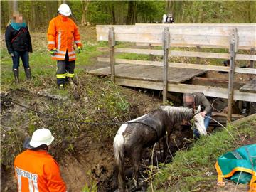 Eine Reiterin ist am Ostermontag am "Imkerinnensteg", einer kleinen Holzbrücke am Apeler See, mit ihrem Pferd eingebrochen.