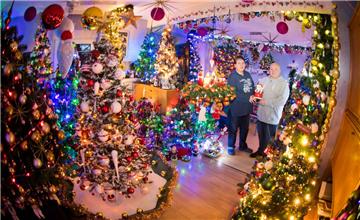 Susanne und Thomas Jeromin stehen am inmitten von Weihnachtsbäumen in ihrem Wohnzimmer. 

