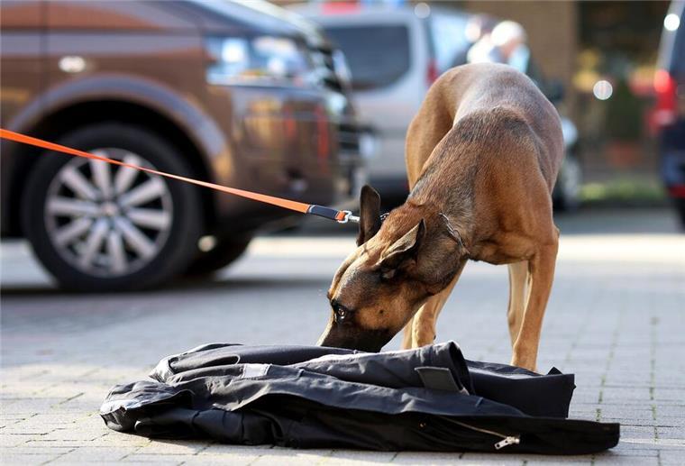 Vermisste Frau in Nordenham: Das ist der Stand der Ermittlungen Ein angeleinter Hund schnuppert an einer Jacke.