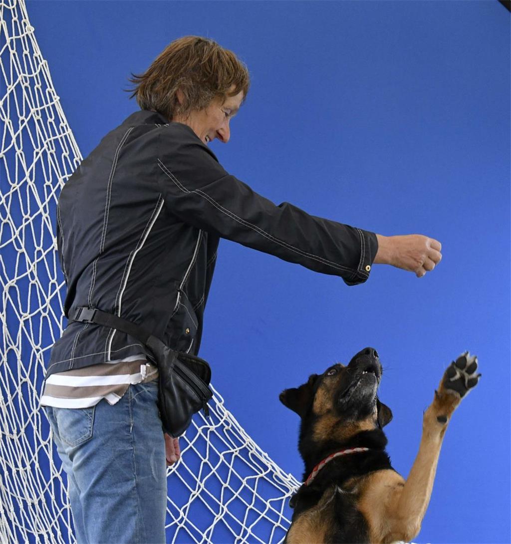 Tag des Hundes in Dorum-Neufeld: Mit einem Leckerli ließ sich Rex beim Fotoshoot...
