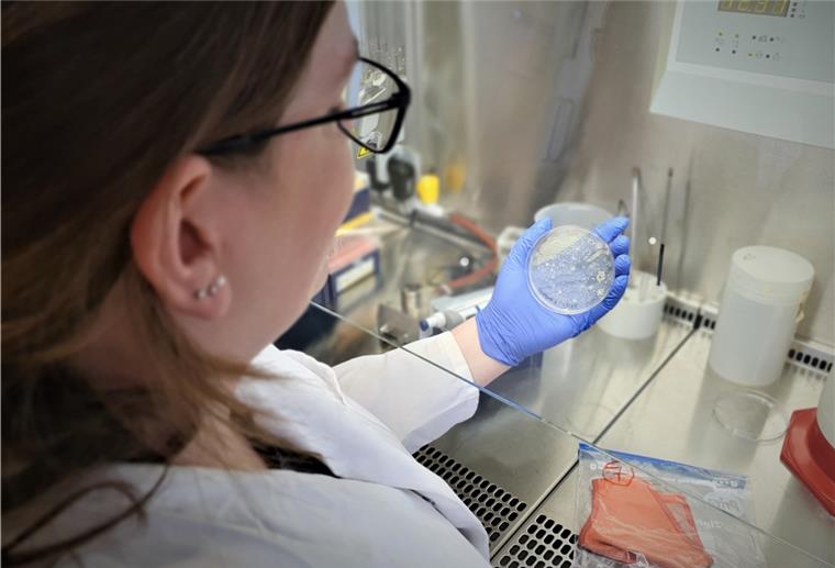 So (un)hygienisch sind unsere Masken Talina Benedix (34), Biologin an der Hochschule Bremerhaven, untersucht die Bakterien, die auf den Masken zu finden waren.