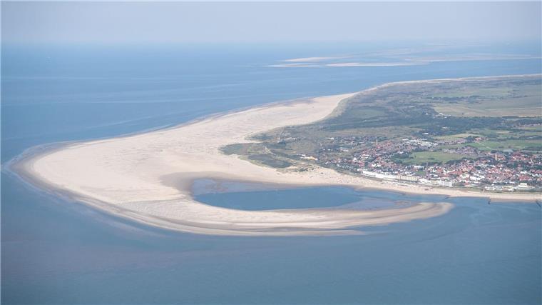 Greenpeace meldet Fund weiterer Steinformationen vor Borkum Taucher haben nahe einer geplanten Kabeltrasse vor der Insel Borkum artenreiche Steinformationen entdeckt. (Archivbild)