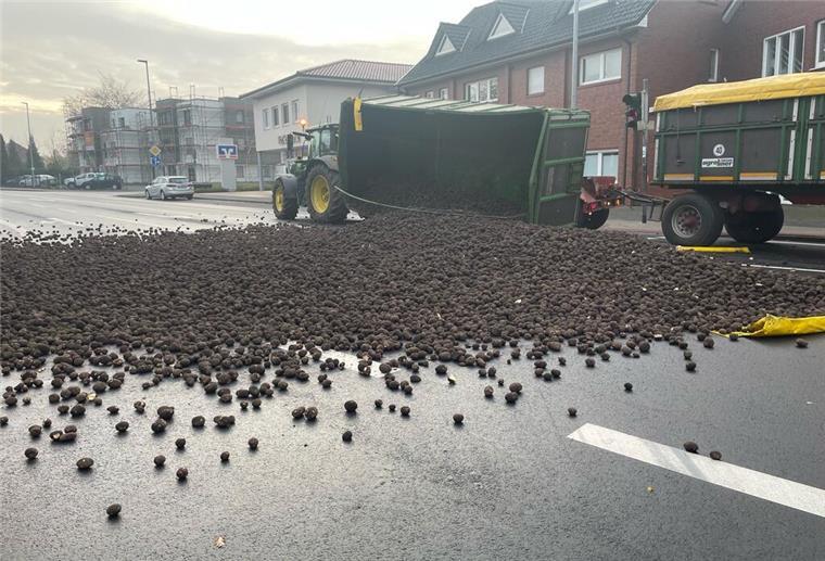 Kartoffelchaos im Norden: Tausende Knollen legen Straße lahm! Tausende Kartoffeln bedeckten die Straße in Cloppenburg.