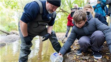 Tausende Lachse werden von Schülern in Hannover ausgwildert.
