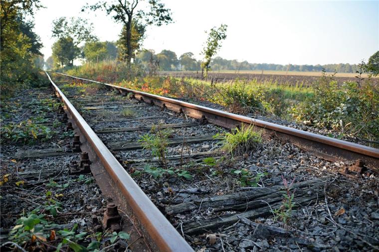 So steht es um die Museumsbahn in Bad Bederkesa Technik und Co. sind bei der Museumsbahn in Bad Bederkesa in Ordnung. Allerdings muss am Gleisbett etwas getan werden.