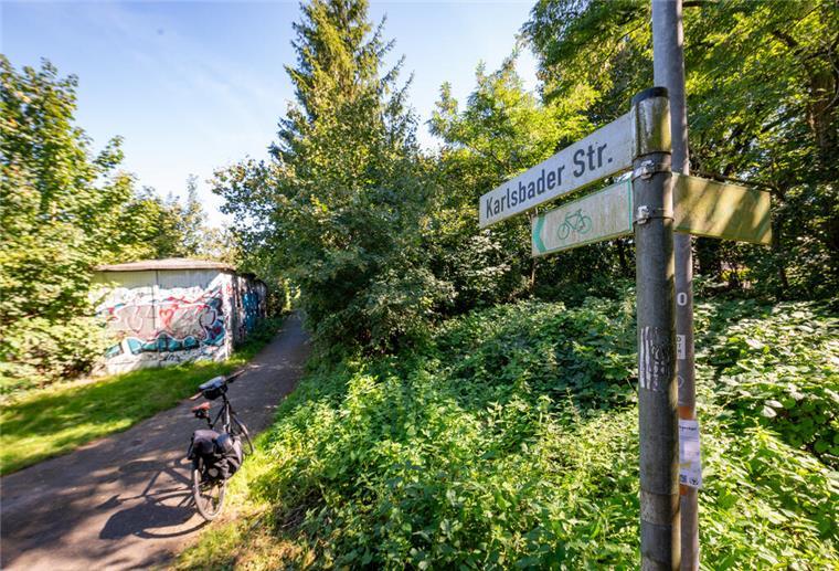 Teile des sogenannten Leher Dschungels an der Karlsbader Straße sollen nun bebaut werden. Der Bau-Ausschuss gab grünes Licht.