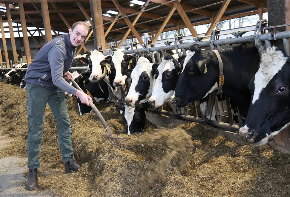 Thees Winkelmann aus Haaßel im Kuhstall