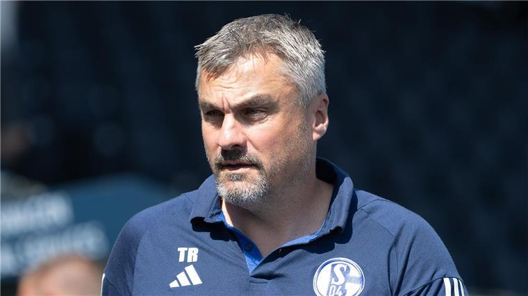 Reis über Schalke: „Trainer auch mal das Vertrauen schenken“ Thomas Reis wünscht sich auf Schalke mehr Geduld mit Trainern.