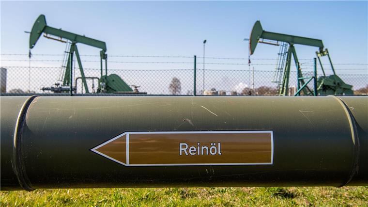Unternehmen haben weniger Öl und Gas gefördert Tiefpumpen für die Erdölförderung im niedersächsischen Emlichheim. (Archivbild)
