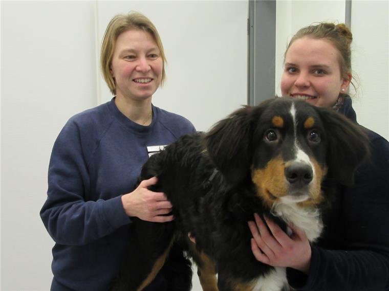 Zehn Tipps: So nimmt man den Hunden den Böllerei-Stress an Silvester Tierärztin Melanie Maresch und Tierpflegerin Laura Schulze untersuchen Sammy, dem sein erstes Silvester bevorsteht: Er hat vor nichts Angst