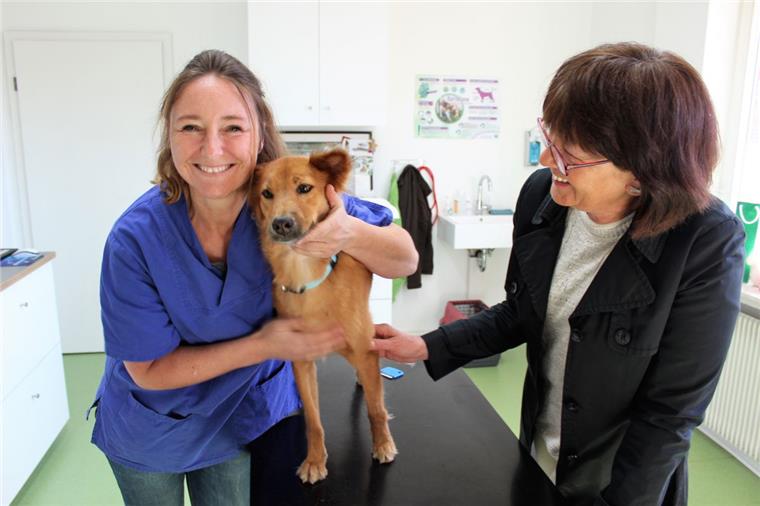Tierisches Happy End in Debstedt Tierärztin Swantje Künkel-Schmidt aus Debstedt (links) bestätigt, dass Khao bei bester Gesundheit ist. Sehr zur Freude von Anke Prusseit.
