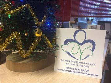 Tiere gehören nicht unter den Weihnachtsbaum. Mit einer Patenschaft ist Mensch und Tier meistens mehr geholfen.