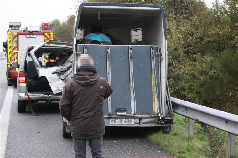 Ein Jahr nord24: Das hat Euch im Oktober am meisten interessiert Tierischer Unfall auf der A27: Nicht nur ein Pferd war involviert, auch Boxerhündin Emma flüchtete und wurde vermisst.