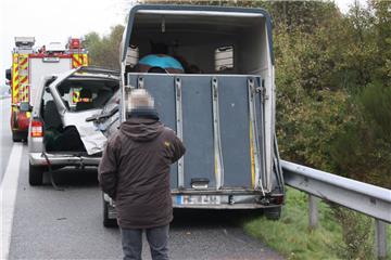 Tierischer Unfall auf der A27: Nicht nur ein Pferd war involviert, auch Boxerhündin Emma flüchtete und wurde vermisst.