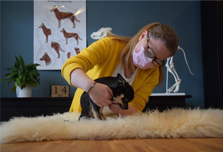 Tierphysio: Nordenhamerin therapiert Vierbeiner Tierphyiotherapeutin Wencke Eymers demonstriert an ihrem Hund ihre Angebote für Vierbeiner: Gesundheitschecks, Dehnübungen und Entspannungsmassagen.