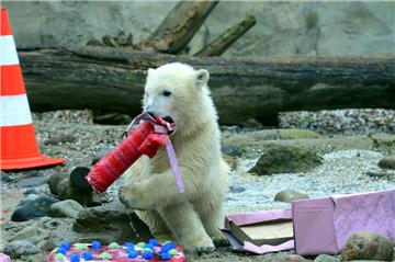 Tolle Geschenke zur Taufe: Darüber freut sich Lili aus dem Zoo am Meer ganz beso...