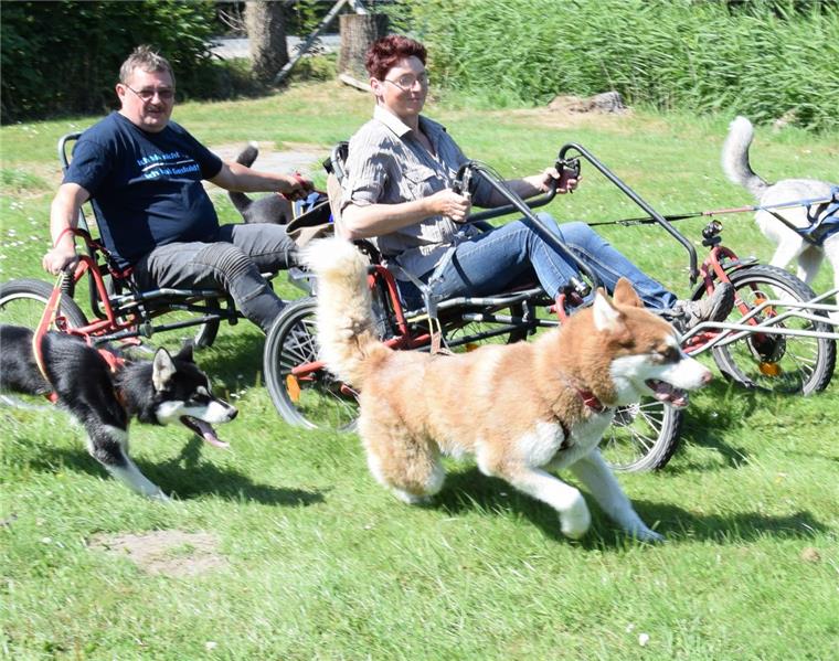 Neues Angebot in Butjadingen: Mit Huskies durch die Wisch Touren mit dem Sacco Cart machen Klaus und Gabriele Bruns nur, wenn es kalt genug ist. Dann legen die Hunde aber richtig los.