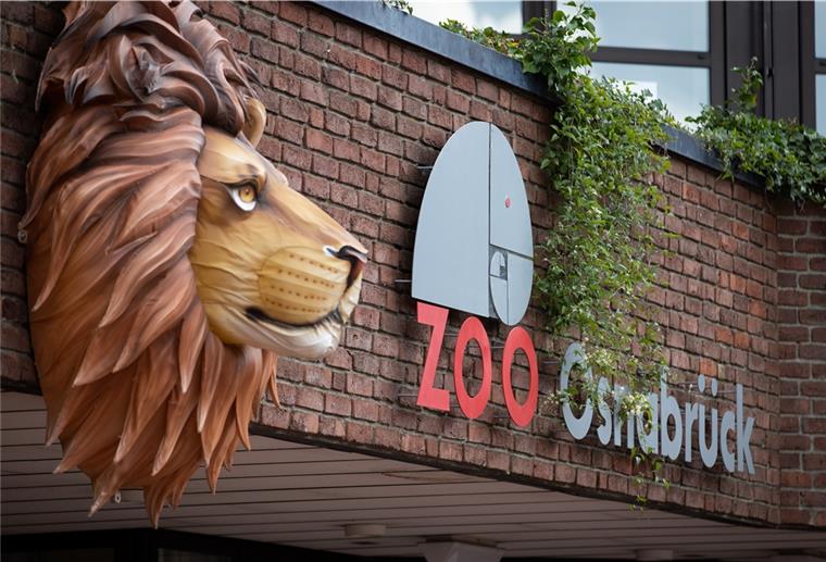 Löwe greift Pflegerin im Zoo Osnabrück an Ein Löwe ziert den Eingangsbereich vom Zoo Osnabrück.