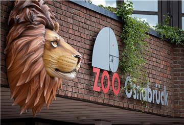 Ein Löwe ziert den Eingangsbereich vom Zoo Osnabrück.